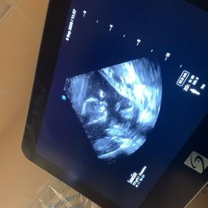 Meet your Posher, Vannah